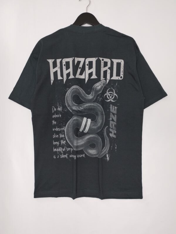 IMG_20260504_195312514 HAZARD OR